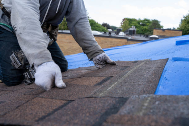 Best Local Roofing Companies  in Mccom, MS