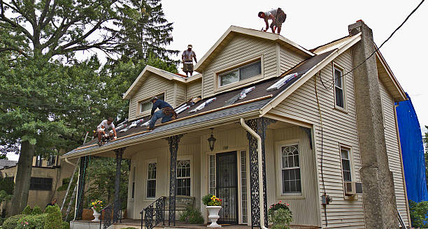Best Roof Gutter Cleaning  in Mccom, MS