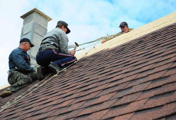 Best Gutter Installation and Roofing  in Mccom, MS