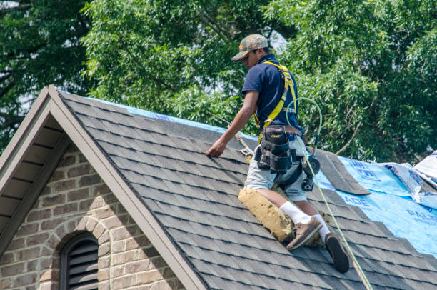 Best Roof Repair Services  in Mccom, MS